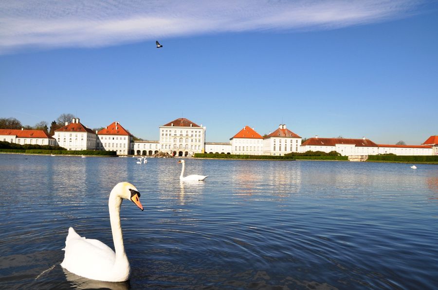 Нимфенбург: Лебеди и небо Мюнхен, Германия