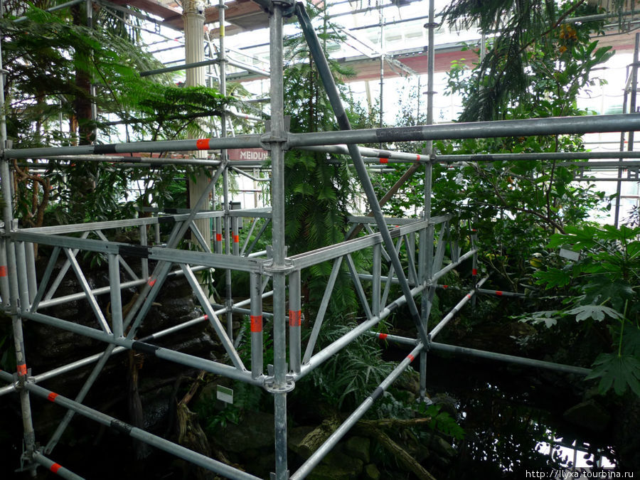 Пальмовая оранжерея (PalmHouse) Вена, Австрия