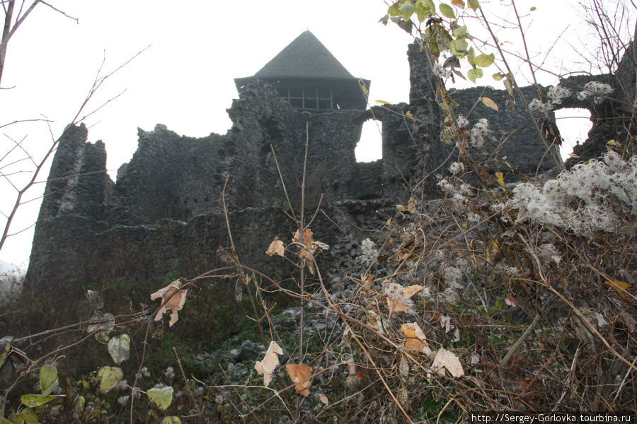 Невицкий замок Ужгород, Украина