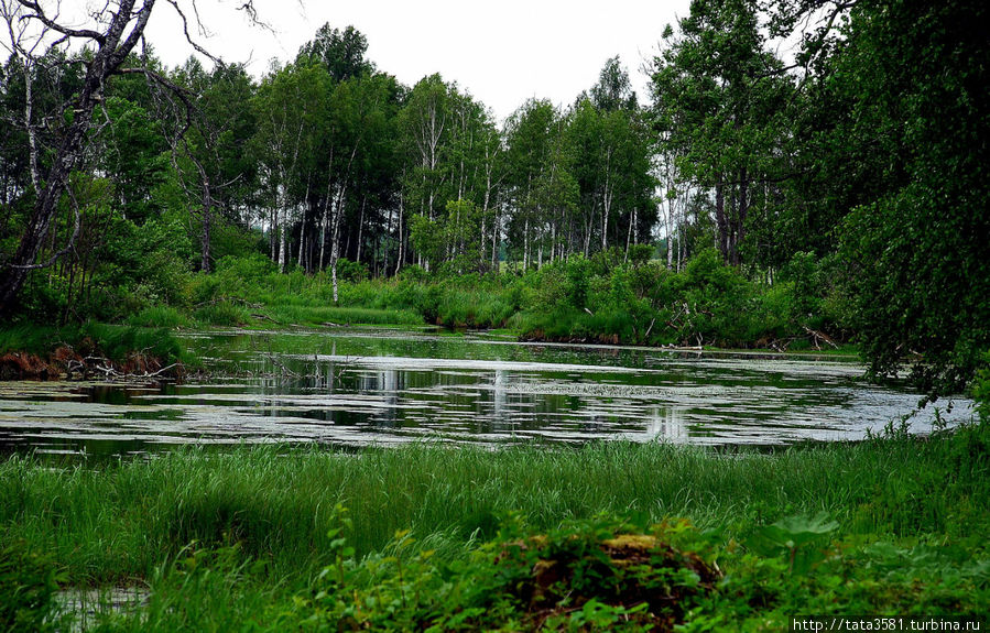 Замок Килтси