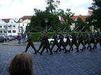 Регулярная армия Чехии