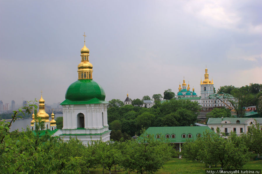 Каштановый Киев Киев, Украина