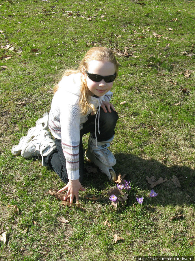 Весна на Елагином острове Санкт-Петербург, Россия