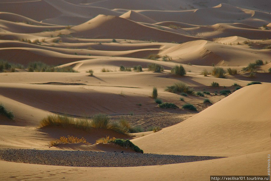 Рассветные дюны Мерзуги и песчаная буря Мерзуга, Марокко