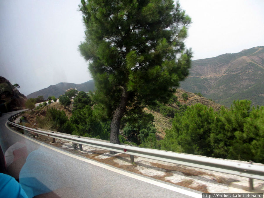 Дорога в Ронду из окна автобуса Ронда, Испания