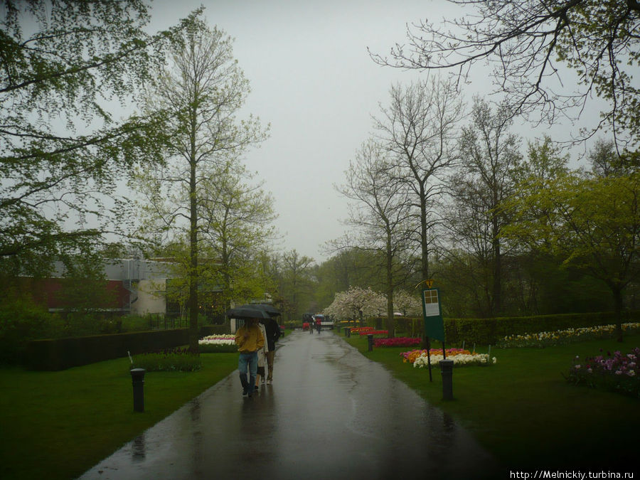 Прогулка в дождливое утро по Саду Европы