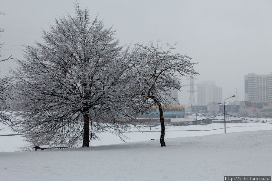 Снегопад в Северном Чертаново (моя Москва) Москва, Россия