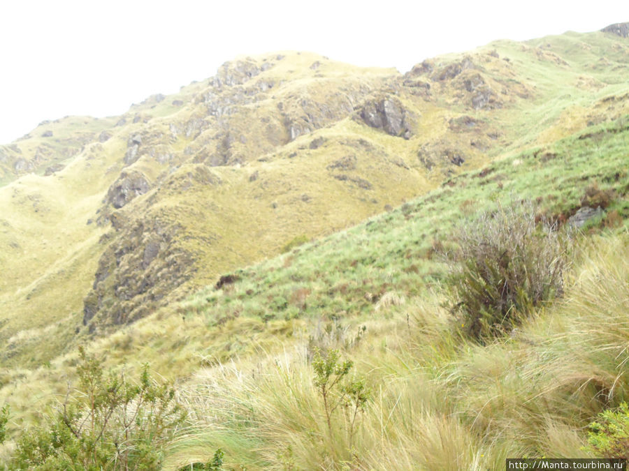 Начало трека. Пушистые зеленые холмы Риобамба, Эквадор
