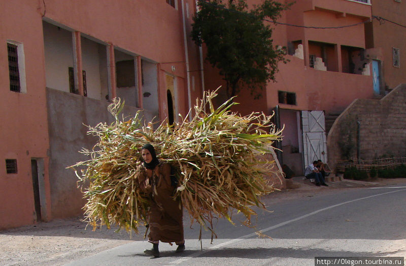 Тяжкий труд сельской жительницы Марокко Марокко