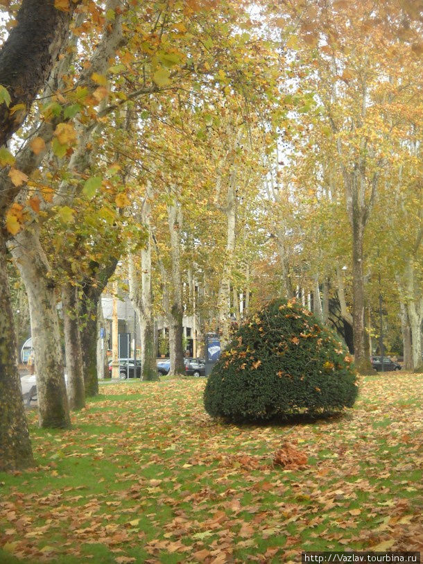 Осенняя картинка Алессандрия, Италия