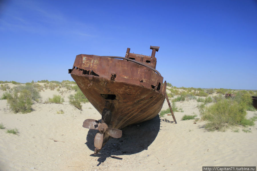 Большую часть кораблей разрезали на металлолом, из оставшихся сделали музей. Узбекистан