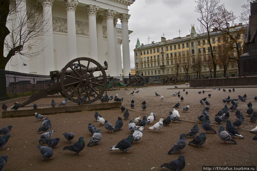 Пушки готовы стрелять хоть завтра. И голуби чувствуют себя в безопасности Санкт-Петербург, Россия