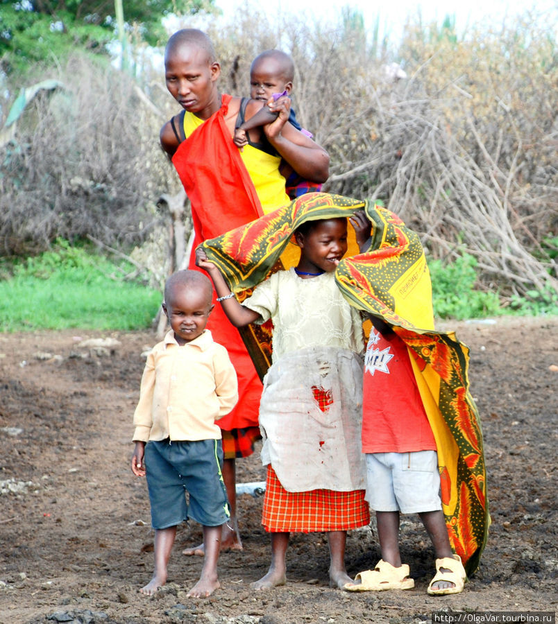 Многодетная мать Масаи-Мара Национальный Парк, Кения
