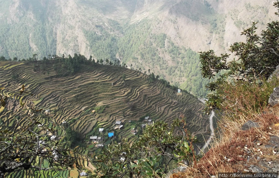 Каждый клочёк земли в Непале возделывается и приносит урожай. Обратите внимание на многочисленные террассы. Непал
