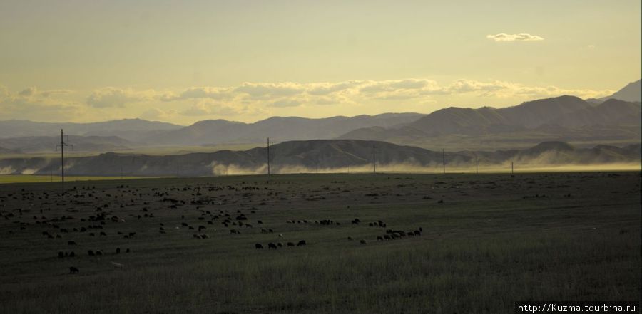 Пыль поднятая грузовиком ,направляющийся в сторону Китая, и животинка на переднем плане. Нарын, Киргизия