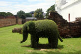 Гигантский зеленый слон