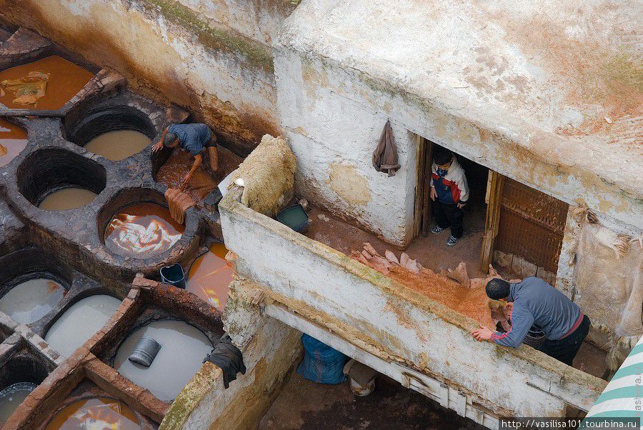 Медина и красильные чаны Феса Фес, Марокко