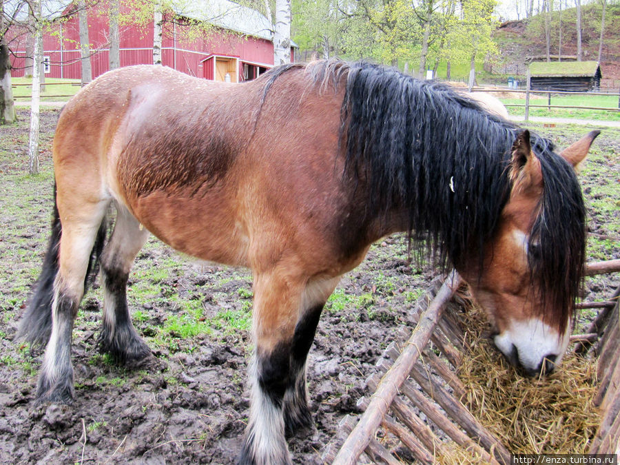 Норвежский народный музей (Norsk folkemuseum) Осло, Норвегия