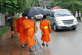 Монахи ходят только с зонтиками