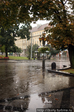 Дождь в городе среди львов Львов, Украина
