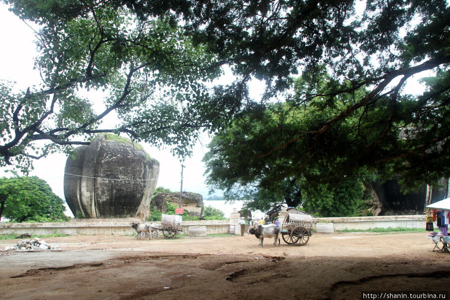Каменные слоны охраняли подход к пагоде со стороны реки Мингун, Мьянма