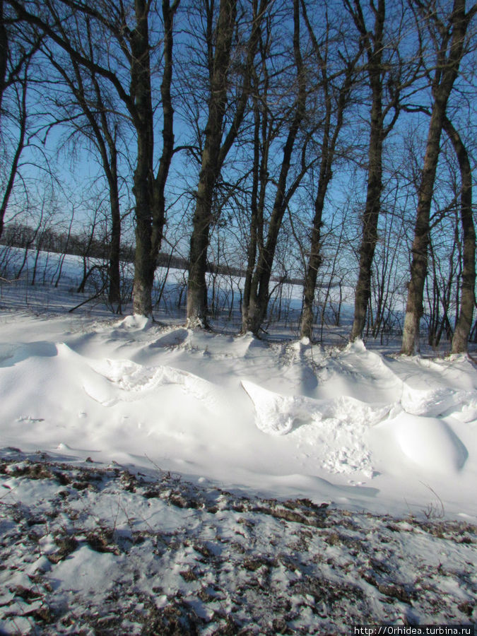 Ветер, ветер, ты могучий. Ты гоняешь ... снега кучи Полтавская область, Украина