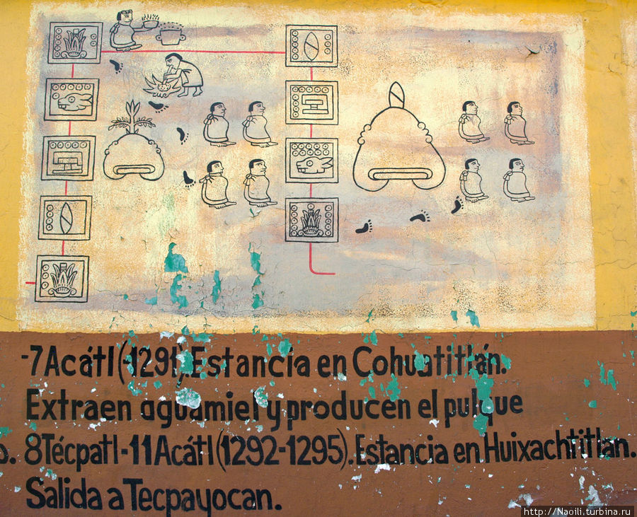 Акатл (1291) Поселение Коутитлан. Из магея делают медовуху и пульке. Тепатл- Акатл(1292-1295) Поселение Уихачтитлан. Выход в Тепайокан.