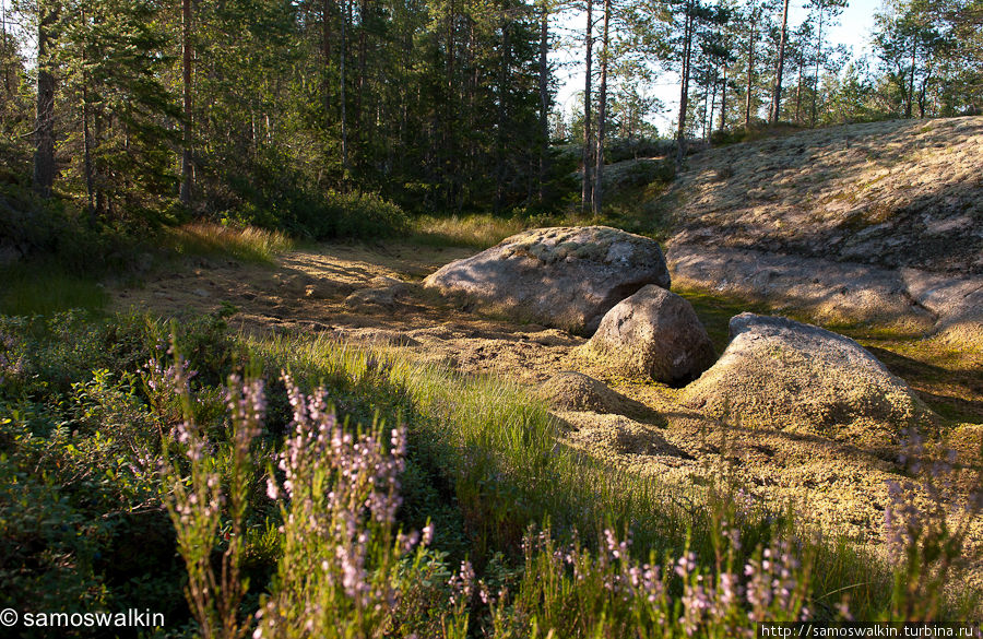 Природа Швеции Швеция