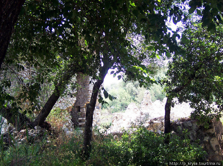 Руины плотно опутаны растительностью будто в джунглях Префектура Влёра, Албания