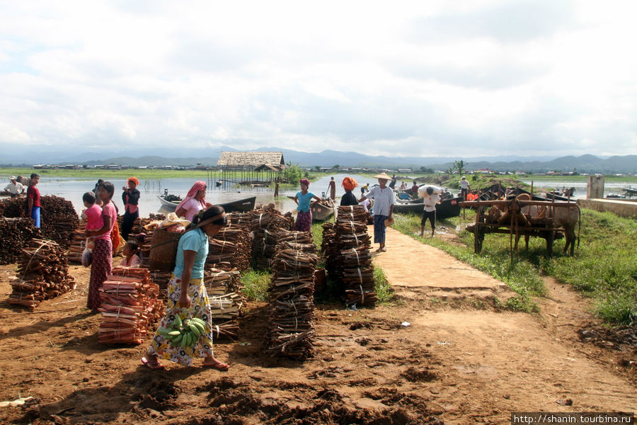 Торговля дровами Ньяунг-Шве, Мьянма