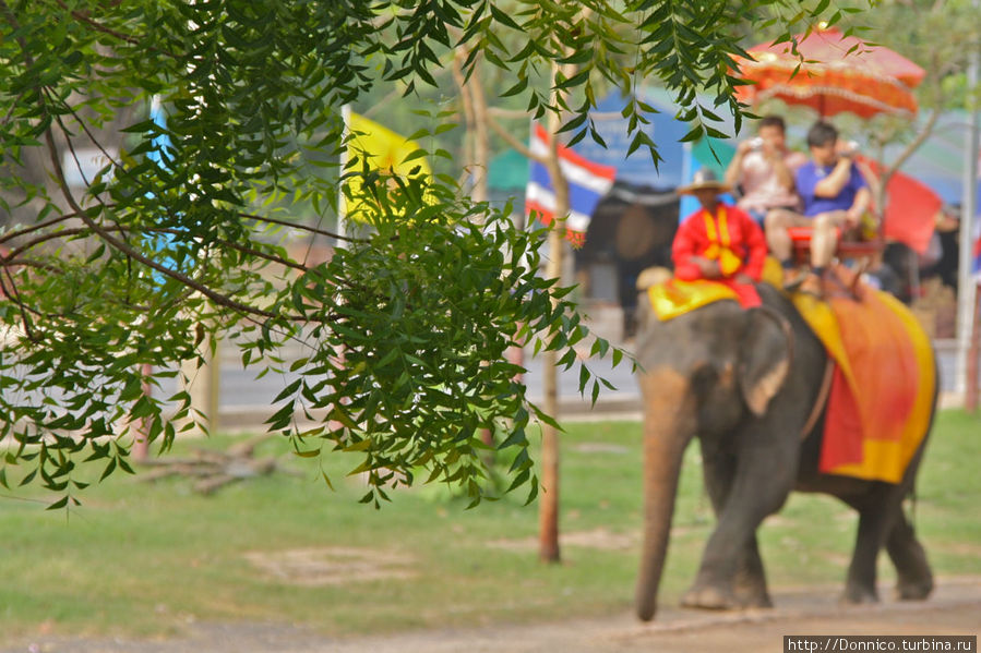Слоновья Фирма Аюттхая, Таиланд