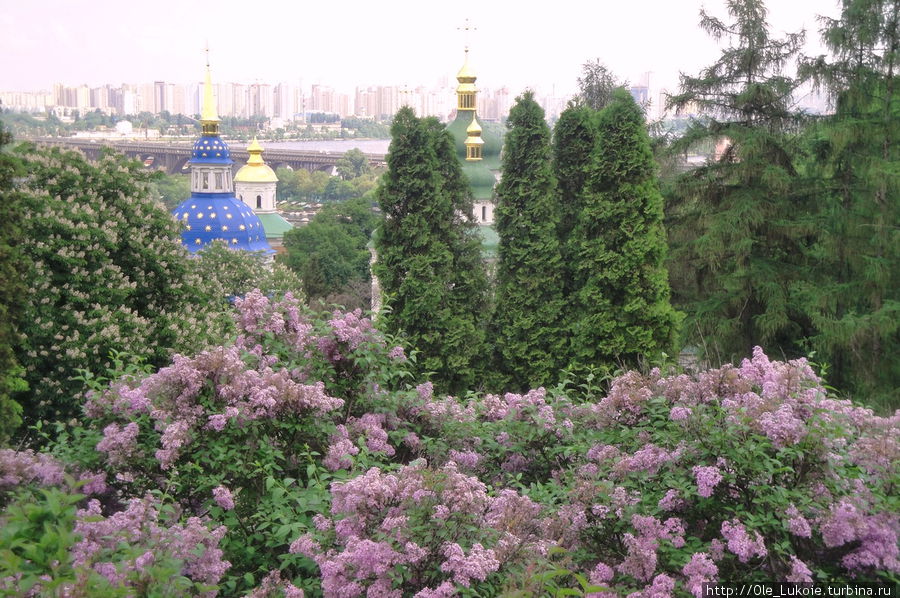 Выдубицкий монастырь Киев, Украина
