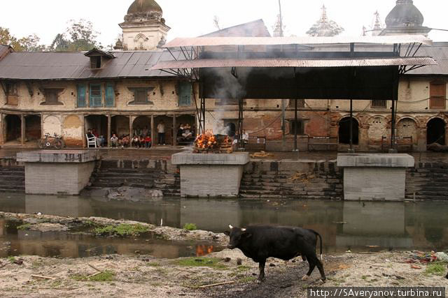 Подиумы для кремации в храме Пашупатинатх Катманду, Непал