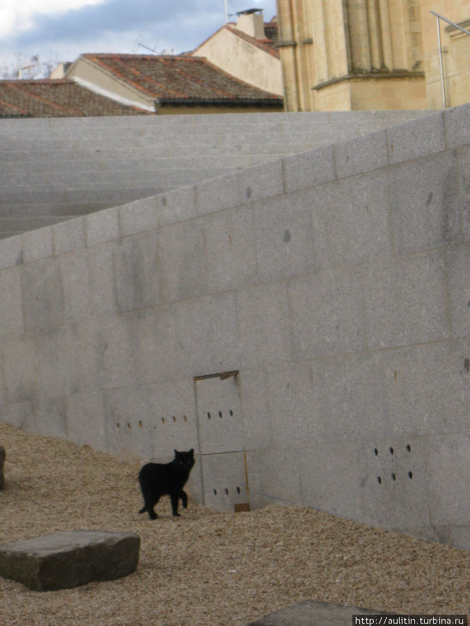 Сеговийский кот 2. Сеговия, Испания