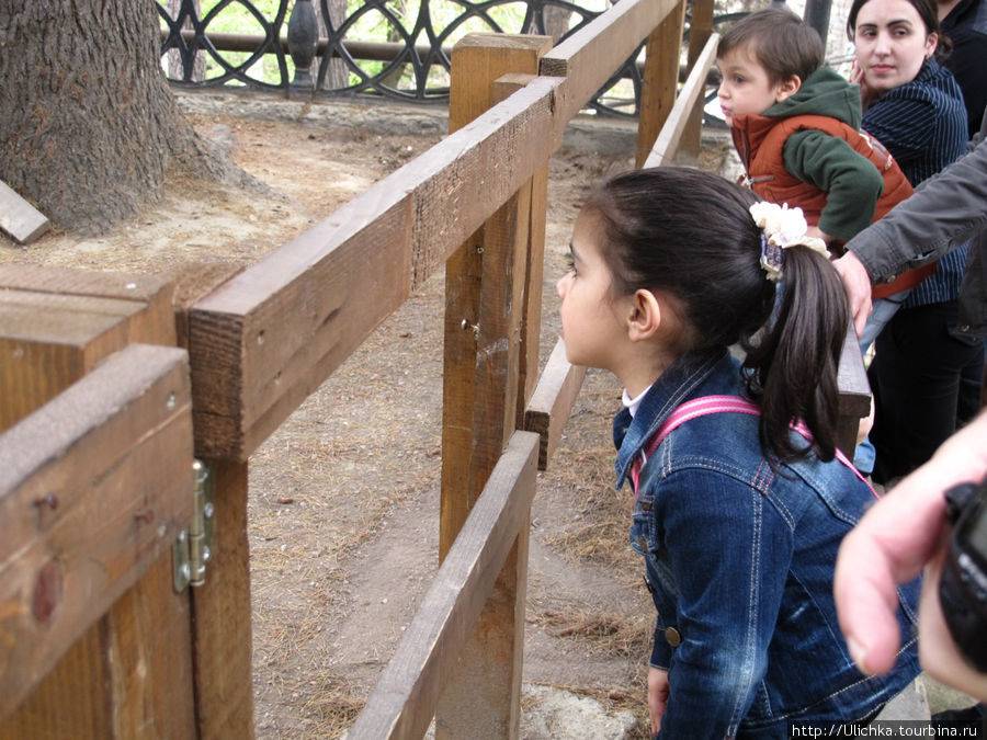 Назад в детство. Зоопарк  в Тбилиси Тбилиси, Грузия