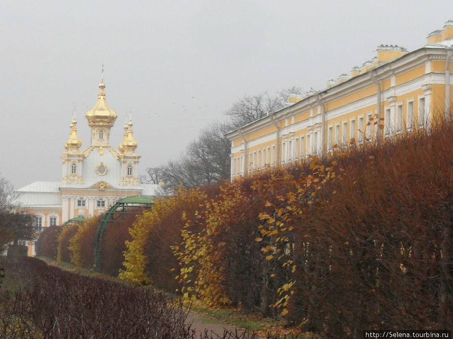 Осенний Петергоф Петергоф, Россия