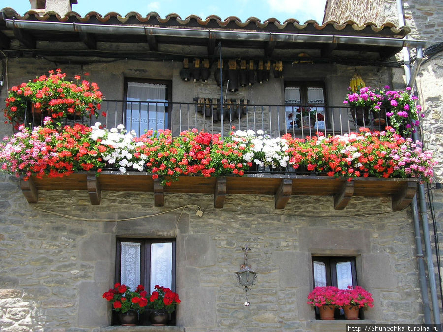 Праздник каждый день или флористика по-испански Испания