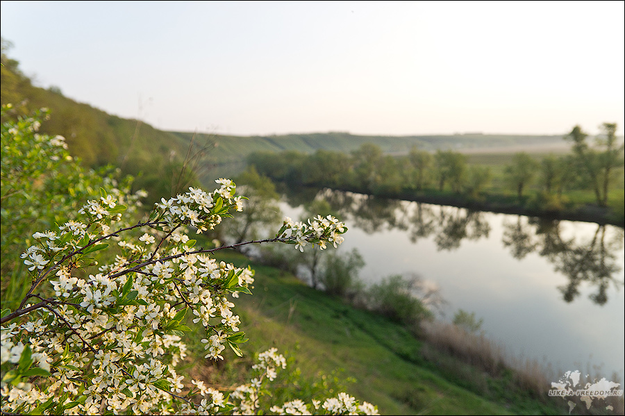река Красивая Меча Липецкая область, Россия