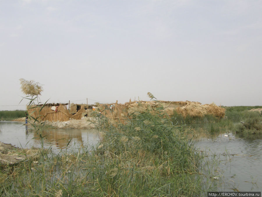Болотный хутор Провинция Басра, Ирак