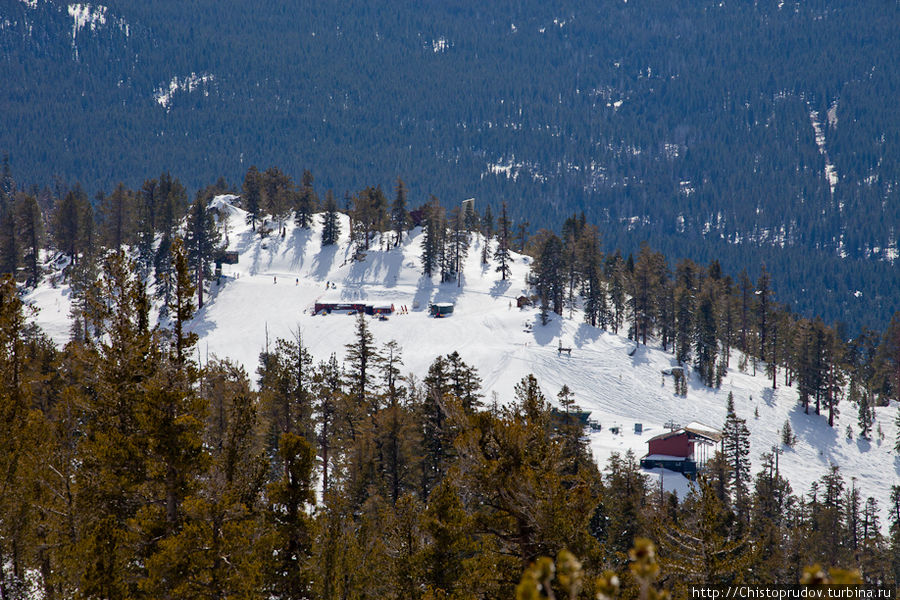 Вид на озеро Тахо с высоты Heavenly Valley Ski Resort Саут-Лэйк-Тахо, CША