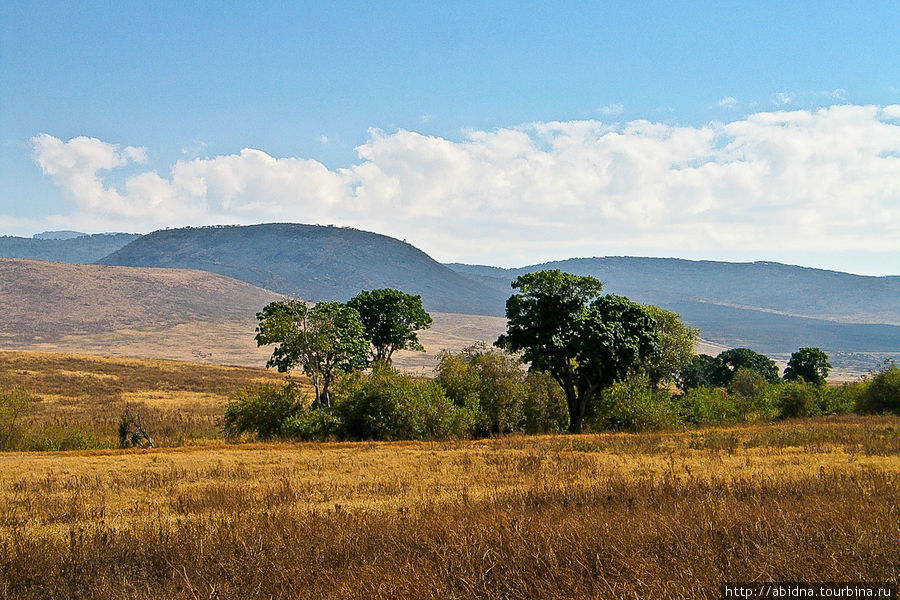 Танзания. Национальный парк Нгоронгоро Нгоронгоро (заповедник в кратере вулкана), Танзания