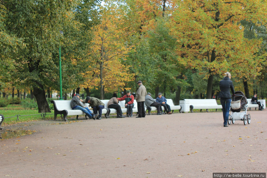 Осень в Таврическом. Санкт-Петербург, Россия