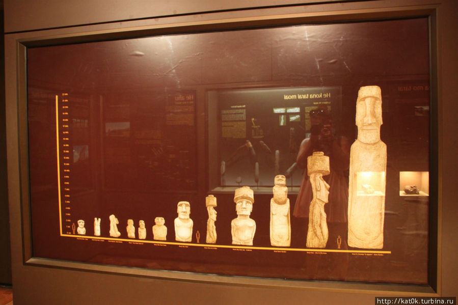 Музей археологии и истории Ф. Фонк Винья-дель-Мар, Чили