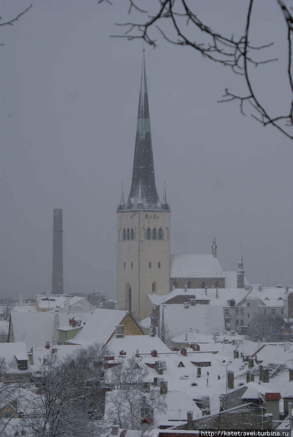 Снег, солнце и… Таллинн! Таллин, Эстония