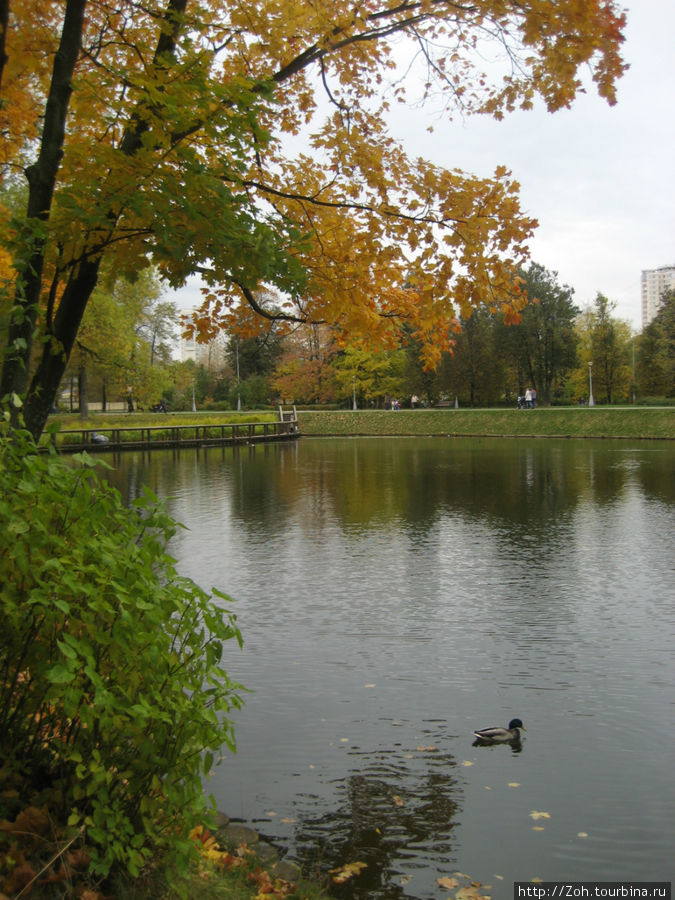 Осень отразилась в прудах Воронцовского парка. Москва, Россия