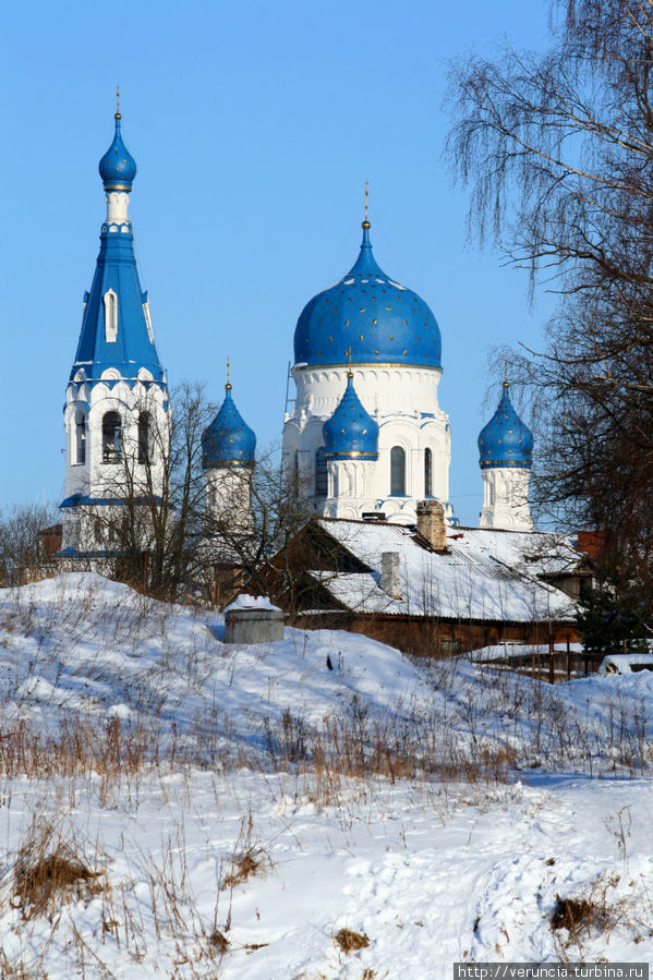 Вид на Покровский собор с Черного озера. Гатчина, Россия