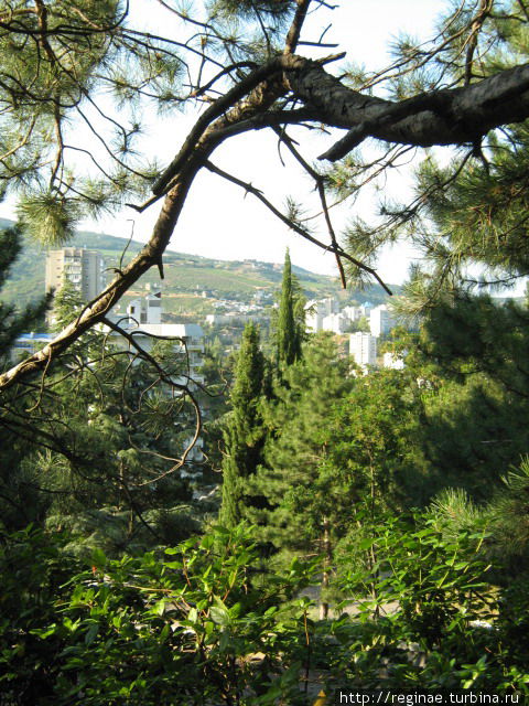 Вид с горы Аю-Даг на сам город. Партенит, Россия
