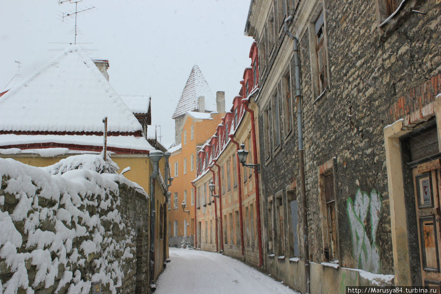 Таллинн в Рождество Таллин, Эстония