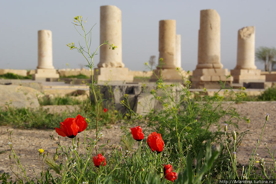 Пасаргады,  первая столица Персидской империи Иран