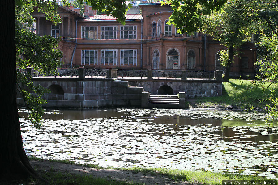 Лопухинский сад карта